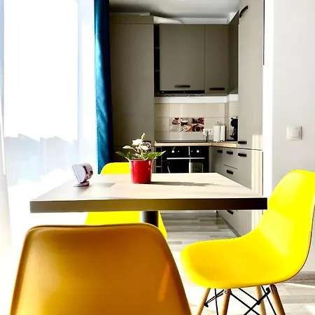 M.a.m. * ブラショフ